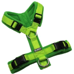 BUMER Hundegeschirr, Gurtband PREMIUM X Kiwi Kiss, Fleece Fresh Basil, gepolstert ohne geteilten Bruststeg, Größe XS, Ringe silberfarbig (Edelstahl), Schnallen schwarz (DURAFLEX®)