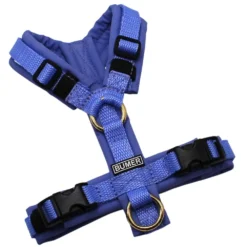 BUMER Hundegeschirr, Gurtband PREMIUM X Light Blue, Softshell Schieferblau, gepolstert ohne geteilten Bruststeg, Größe XXS, Ringe goldfarbig, Schnallen schwarz (DURAFLEX®)
