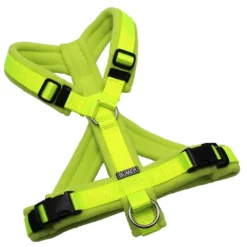 BUMER Hundegeschirr, Gurtband PREMIUM X Neongelb, Fleece Lemon Zest, gepolstert mit geteiltem Bruststeg, Größe S, Ringe silberfarbig (Edelstahl), Schnallen schwarz (DURAFLEX®)