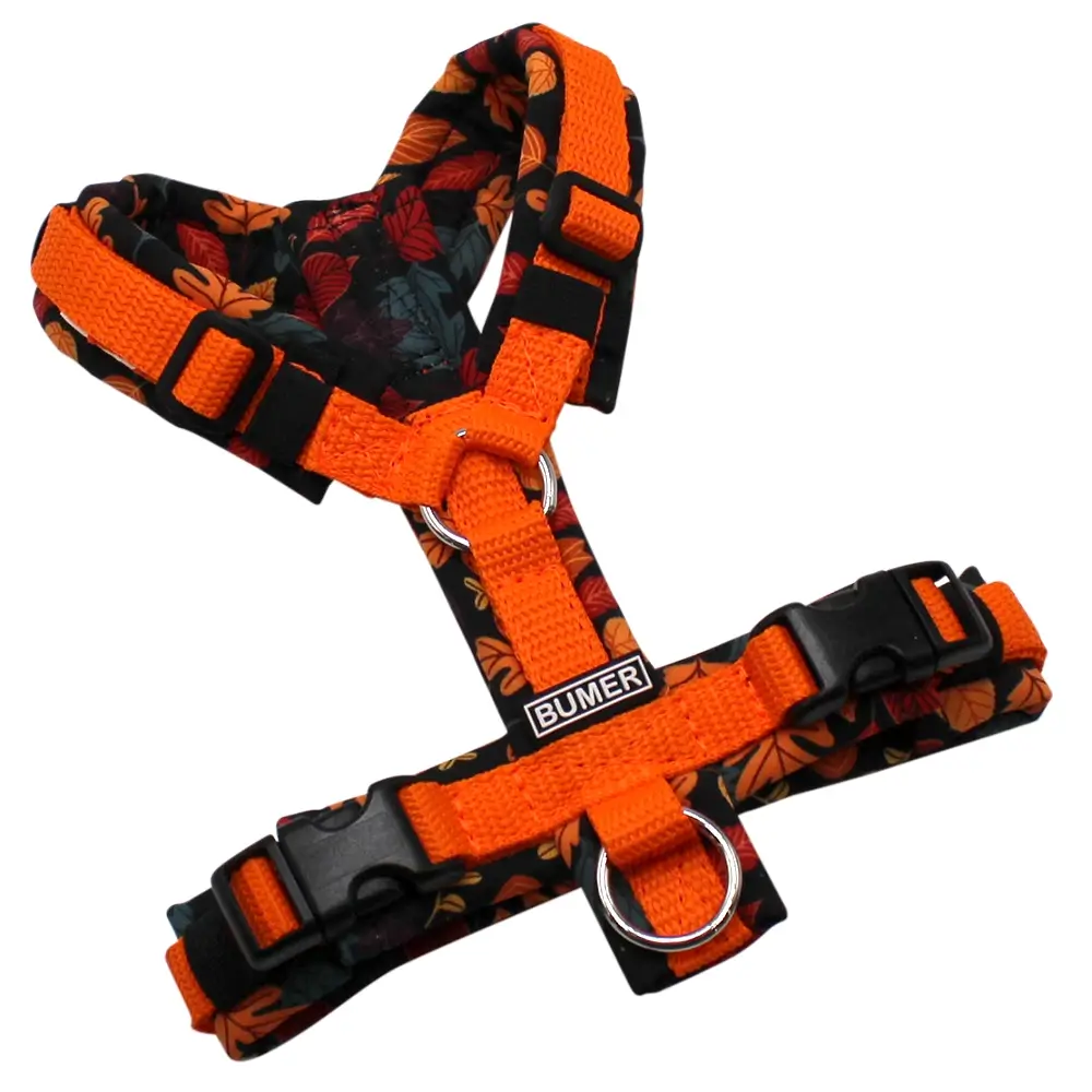BUMER Hundegeschirr, Gurtband Safran Glut (PREMIUM X), Softshell Herbstfunkeln, gepolstert ohne geteiltem Bruststeg, Größe XXS, Ringe silberfarbig (Edelstahl), Schnallen schwarz (DURAFLEX®)