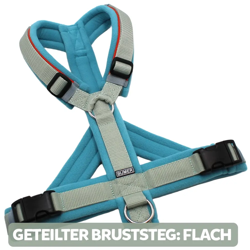 BUMER Hundegeschirr, gepolstert, Größe M, Gurtband Helles Salbei, Fleece Grey Blue Wave, Ringe silberfarbig (Edelstahl), Schnallen schwarz (DURAFLEX®), Paspel Kürbisorange, Gummi Grau