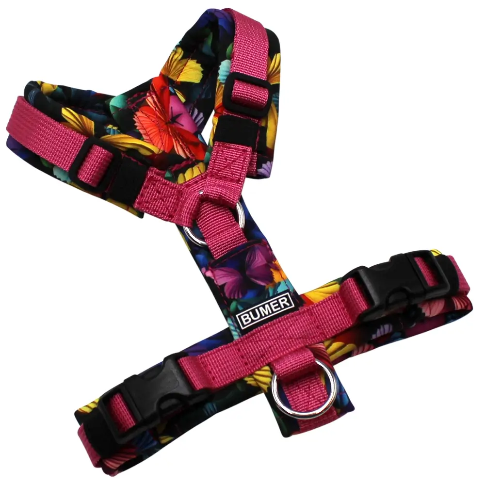 BUMER Hundegeschirr, gepolstert, Größe XXS, Gurtband PREMIUM Himbeer Sorbet, Softshell Regenbogenflügel, Ringe silberfarbig (Edelstahl), Schnallen schwarz (DURAFLEX®), Applikation