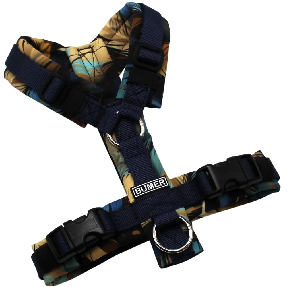 BUMER Hundegeschirr, gepolstert, Größe XXS, Gurtband PREMIUM Midnight Indigo, Softshell Vergoldeter Schwung, Ringe silberfarbig (Edelstahl), Schnallen schwarz (DURAFLEX®)