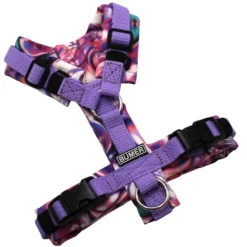BUMER Hundegeschirr, gepolstert, Größe XXS, Gurtband PREMIUM X Lavendel, Softshell Lilalava, Ringe silberfarbig (Edelstahl), Schnallen schwarz (DURAFLEX®)