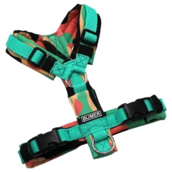 BUMER Hundegeschirr, gepolstert, Größe XXS, Gurtband PREMIUM X Minze, Softshell Coral Dreamscape, Ringe silberfarbig (Edelstahl), Schnallen schwarz (DURAFLEX®), Applikation