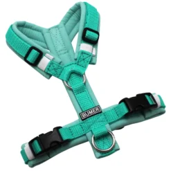 BUMER Hundegeschirr, gepolstert, Größe XXS, Gurtband PREMIUM X Minze, Softshell Jadenluft, Ringe silberfarbig (Edelstahl), Schnallen schwarz (DURAFLEX®), Gummi weiss