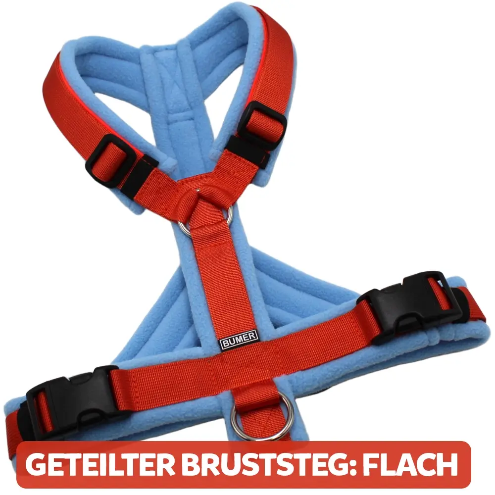 BUMER Hundegeschirr, gepolstert, Größe XXS / XS, Gurtband PREMIUM Scarlett Essence, Fleece Misty Blue, Ringe silberfarbig (Edelstahl), Schnallen schwarz (DURAFLEX®), Paspel Neonrot, Gummi schwarz