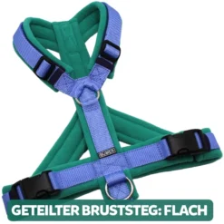 BUMER Hundegeschirr, gepolstert, Größe XXS / XS, Gurtband PREMIUM X Light Blue, Fleece Lagoon Moos, Ringe silberfarbig (Edelstahl), Schnallen schwarz (DURAFLEX®), Paspel Petrolshade, Gummi Midnightveil