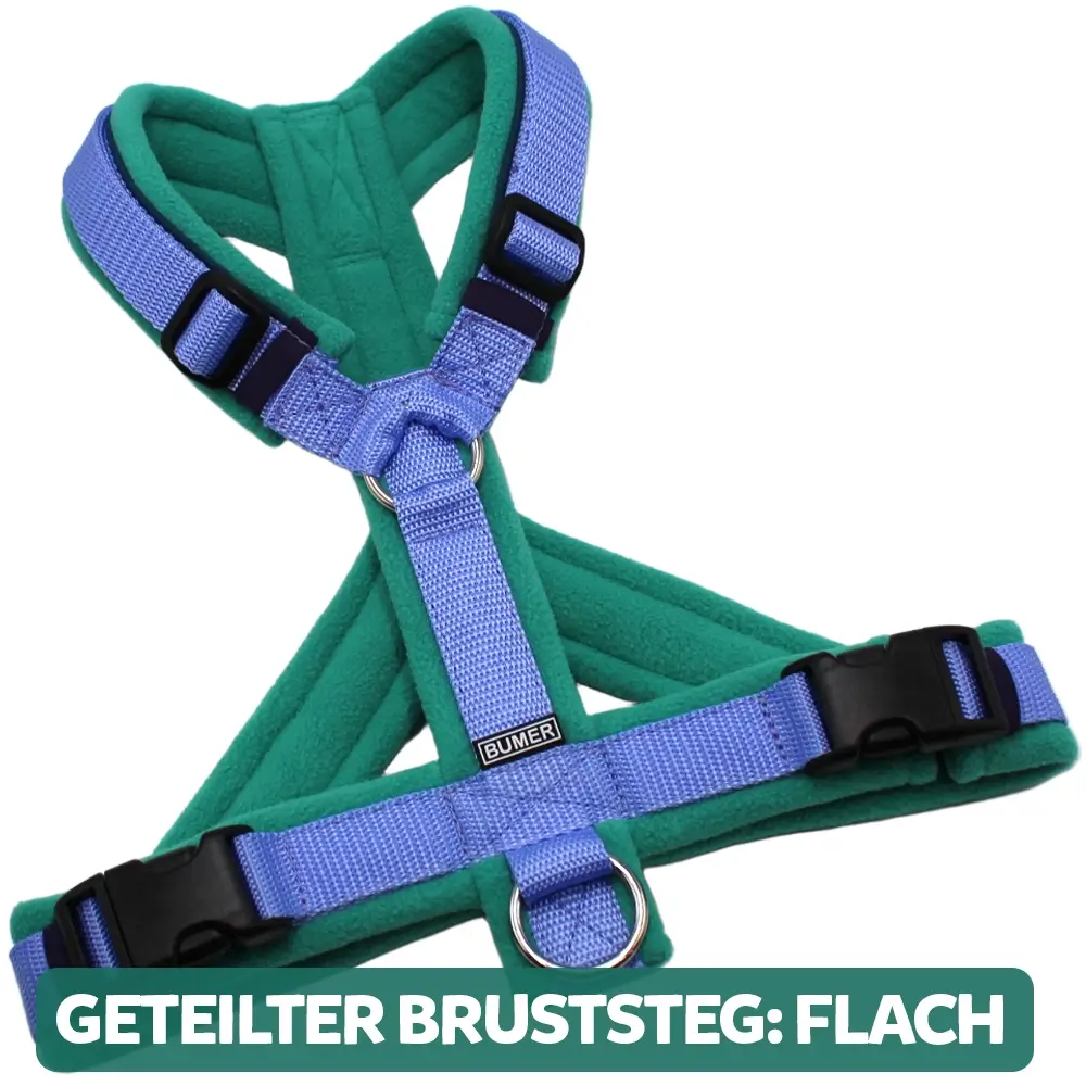 BUMER Hundegeschirr, gepolstert, Größe XXS / XS, Gurtband PREMIUM X Light Blue, Fleece Lagoon Moos, Ringe silberfarbig (Edelstahl), Schnallen schwarz (DURAFLEX®), Paspel Petrolshade, Gummi Midnightveil