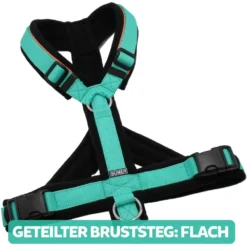 BUMER Hundegeschirr, gepolstert, Größe XXS / XS, Gurtband PREMIUM X Minze, Fleece Schwarz, Ringe silberfarbig (Edelstahl), Schnallen schwarz (DURAFLEX®), Paspel Bubblegum, Gummi Schwarz