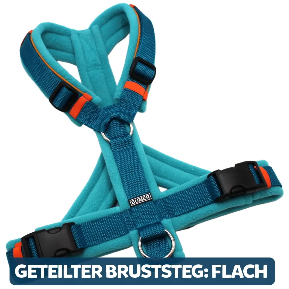 BUMER Hundegeschirr, gepolstert, Größe XXS / XS, Gurtband PREMIUM X Petrol, Fleece Turquoise Reef, Ringe silberfarbig (Edelstahl), Schnallen schwarz (DURAFLEX®), Paspel Zimtorange, Gummi Sundash
