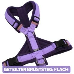 BUMER Hundegeschirr, gepolstert, Größe XXS/XS, Gurtband PREMIUM X Violet Veil, Fleece Deep Orchid, Ringe silberfarbig (Edelstahl), Schnallen schwarz (DURAFLEX®), Paspel Lila Viola, Gummi, Ashrose
