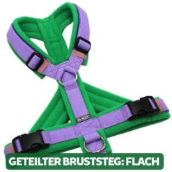 BUMER Hundegeschirr, gepolstert, Größe XXS / XS, Gurtband PREMIUM X Violet Veil, Fleece Pine Oasis, Ringe silberfarbig (Edelstahl), Schnallen schwarz (DURAFLEX®), Paspel Lila Viola, Gummi, Ashrose