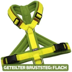 BUMER Hundegeschirr, gepolstert, Größe XXS / XS, Gurtband PREMIUM X Zitrinzauber, Fleece Mossy Lime, Ringe silberfarbig (Edelstahl), Schnallen schwarz (DURAFLEX®), Paspel Caffee Latte, Gummi Bronzebark