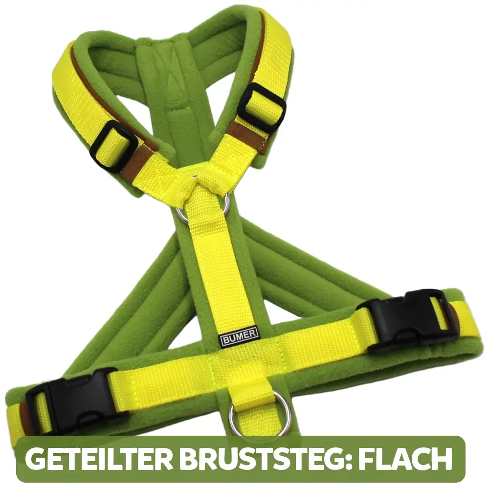 BUMER Hundegeschirr, gepolstert, Größe XXS / XS, Gurtband PREMIUM X Zitrinzauber, Fleece Mossy Lime, Ringe silberfarbig (Edelstahl), Schnallen schwarz (DURAFLEX®), Paspel Caffee Latte, Gummi Bronzebark