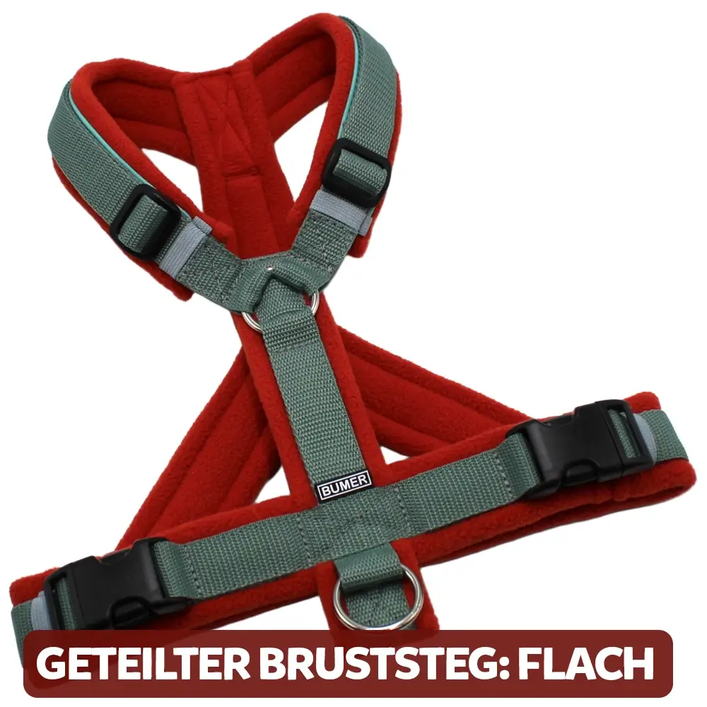 BUMER Hundegeschirr, gepolstert, Größe XXS / XS, Gurtband Salbei, Fleece Terracotta, Ringe silberfarbig (Edelstahl), Schnallen schwarz (DURAFLEX®), Paspel Minty Breeze, Gummi Sagecloud