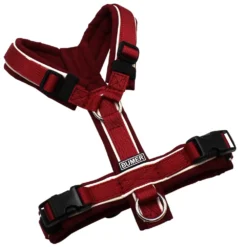 BUMER Hundegeschirr, gepolstert ohne geteiltem Bruststeg, Größe XXS/XS, Gurtband PREMIUM Berry Bordeaux, Softshell Bordeaux, Ringe silberfarbig (Edelstahl), Schnallen schwarz (DURAFLEX®)Paspel champagne (komplett)