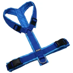 BUMER Hundegeschirr, gepolstert ohne geteilten Bruststeg, Größe L, Gurtband PREMIUM Royal Sapin, Oxford Linien, Ringe silberfarbig (Edelstahl), Schnallen schwarz (DURAFLEX®)