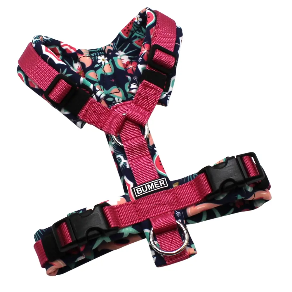 BUMER Hundegeschirr, gepolstert ohne geteilten Bruststeg, Größe XXS, Gurtband PREMIUM Himbeer Sorbet, Softshell Maritim #2, Ringe silberfarbig (Edelstahl), Schnallen schwarz (DURAFLEX®)