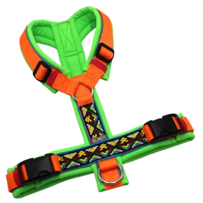 BUMER BOHO Hundegeschirr, Größe M, Gurtband: PREMIUM Electric Pumpkin, Softshell: Neongrün, Ringe: silberfarbig (Edelstahl), Schnallen: schwarz (DURAFLEX®), Paspel: Himmelblau (komplett)