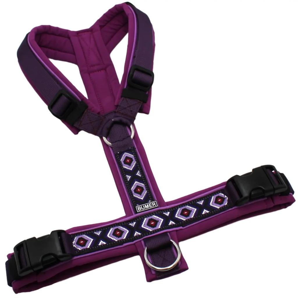 BUMER BOHO Hundegeschirr, Größe M/L, Gurtband PREMIUM Midnight Plum, Softshell Purplesky, Ringe silberfarbig (Edelstahl), Schnallen schwarz (DURAFLEX®), Paspel Hortensien Lila (komplett)