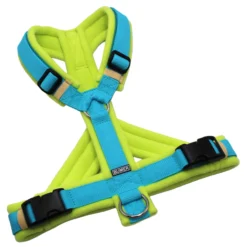 BUMER Hundegeschirr, Größe M, Gurtband PREMIUM X Glacier Breeze, Fleece Lemon Zest, Ringe silberfarbig (Edelstahl), Schnallen schwarz (DURAFLEX®), Paspel Atollblau, Bruststeg geteilt (flach)