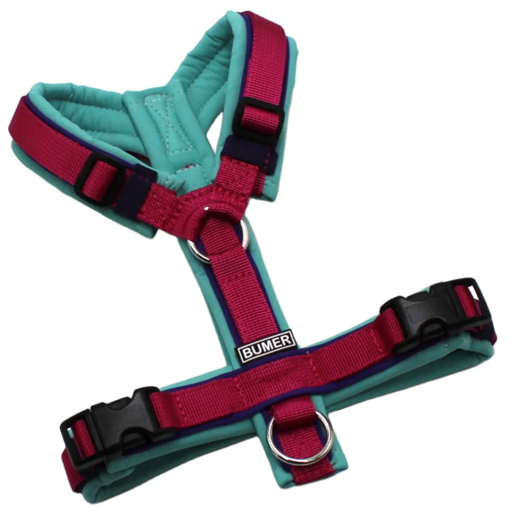 BUMER Hundegeschirr, Größe M/L, Gurtband PREMIUM Fuchsia Flare, Softshell Minty Breeze, Ringe silberfarbig (Edelstahl), Schnallen schwarz (DURAFLEX®), Paspel Lila-Viola (komplett)