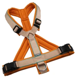 BUMER Hundegeschirr, Größe M/L, Gurtband PREMIUM Soft Beige, Softshell Zimt-Orange, Ringe silberfarbig (Edelstahl), Schnallen schwarz (DURAFLEX®), Paspel Minty Breeze (komplett)