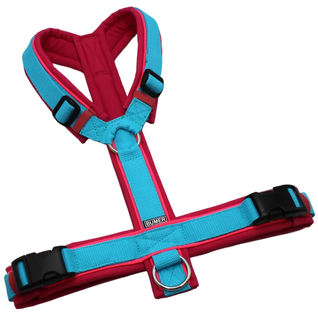 BUMER Hundegeschirr, Größe M/L, Gurtband PREMIUM X Glacier Breeze, Softshell Pink, Ringe silberfarbig (Edelstahl), Schnallen schwarz (DURAFLEX®), Paspel Neonpink (komplett)