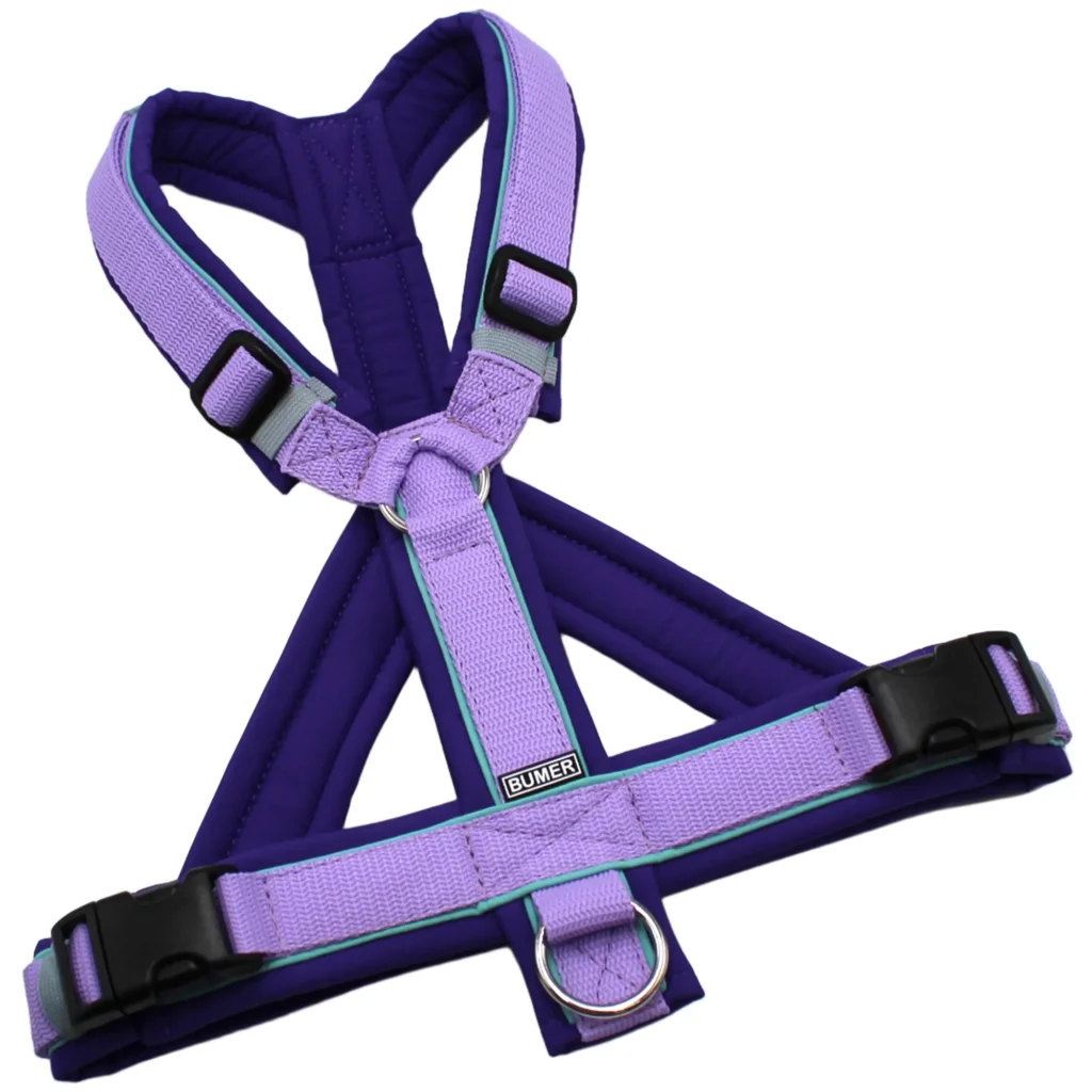 BUMER Hundegeschirr, Größe M/L, Gurtband PREMIUM X Violett Veil, Softshell Lila Viola, Ringe silberfarbig (Edelstahl), Schnallen schwarz (DURAFLEX®), Paspel Minty Breeze (komplett)
