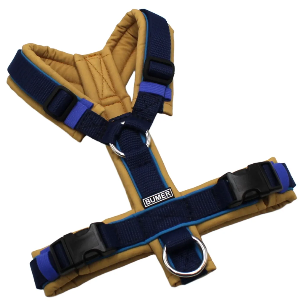 BUMER Hundegeschirr, Größe XS, Gurtband Navy, Softshell Golden Nougat, Ringe Schwarz (Edelstahl), Schnallen schwarz (DURAFLEX®), Paspel Eisvogelblau (komplett)