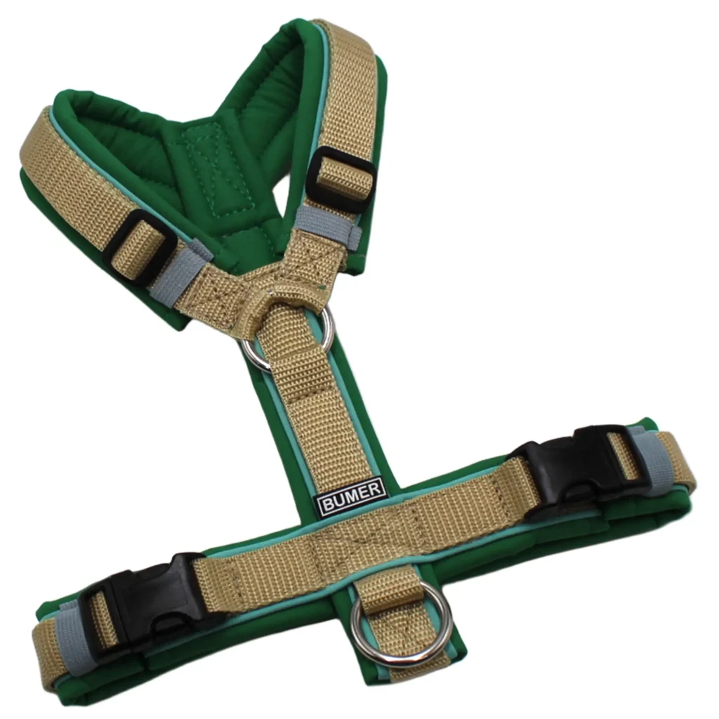 BUMER Hundegeschirr, Größe XS/S, Gurtband Hellsand, Softshell Farngrün, Ringe silberfarbig (Edelstahl), Schnallen schwarz (DURAFLEX®), Paspel Minty Breeze (komplett)