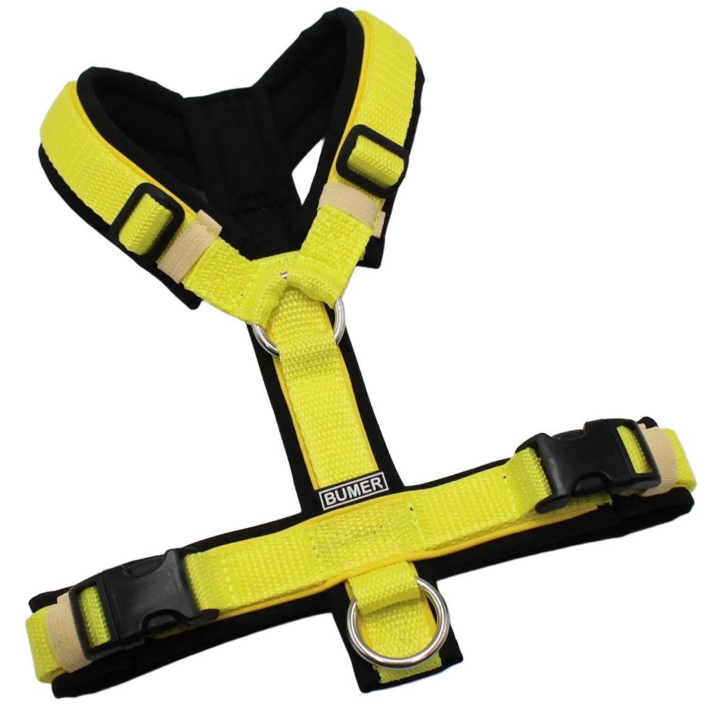BUMER Hundegeschirr, Größe XS/S, Gurtband PREMIUM X Zitrinzauber, Softshell Schwarz, Ringe silberfarbig (Edelstahl), Schnallen schwarz (DURAFLEX®), Paspel Sonnenblume (komplett)
