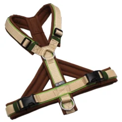 BUMER Hundegeschirr, Größe XXS/XS, Gurtband: Creme (Standard PLUS), Softshell: Kupferkastanie, Ringe: silberfarbig (Edelstahl), Schnallen: schwarz (DURAFLEX®), Paspel: Grannys Green (komplett), Bruststeg: geteilt, flach