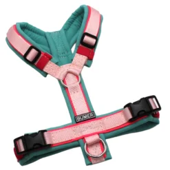 BUMER Hundegeschirr, Größe XXS/XS, Gurtband PREMIUM Blush Petal, Softshell Minty Breeze, Ringe silberfarbig (Edelstahl), Schnallen schwarz (DURAFLEX®), Paspel Neonpink (komplett)