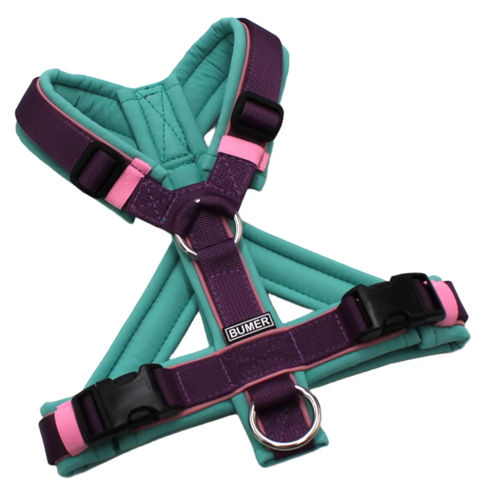 BUMER Hundegeschirr, Größe XXS/XS, Gurtband PREMIUM Lavender Luxe, Softshell Minty Breeze, Ringe silberfarbig (Edelstahl), Schnallen schwarz (DURAFLEX®), Paspel Rosenquarz (komplett), Bruststeg geteilt (flach)