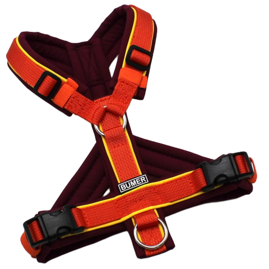 BUMER Hundegeschirr, Größe XXS/XS, Gurtband PREMIUM Scarlett Essence, Softshell Rubintango, Ringe silberfarbig (Edelstahl), Schnallen schwarz (DURAFLEX®), Paspel Sonnenblume (komplett), Bruststeg geteilt