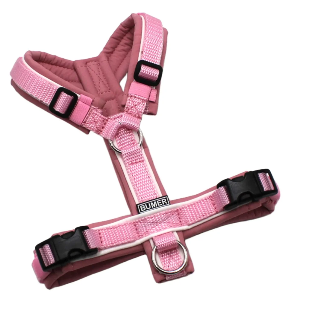 BUMER Hundegeschirr, Größe XXS/XS, Gurtband PREMIUM X Rosenzart, Softshell Rosenquarz, Ringe silberfarbig (Edelstahl), Schnallen schwarz (DURAFLEX®), Paspel Weiss (komplett)