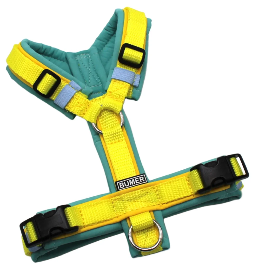 BUMER Hundegeschirr, Größe XXS/XS, Gurtband PREMIUM X Zitrinzauber, Softshell Minty Breeze, Ringe silberfarbig (Edelstahl), Schnallen schwarz (DURAFLEX®), Paspel Sonnenblume (komplett)