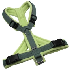 BUMER Hundegeschirr, Größe XXS/XS, Gurtband Salbei, Fleece Pastel Fern, Ringe silberfarbig (Edelstahl), Schnallen schwarz (DURAFLEX®), Paspel grau REFLEX, Bruststeg geteilt (flach)