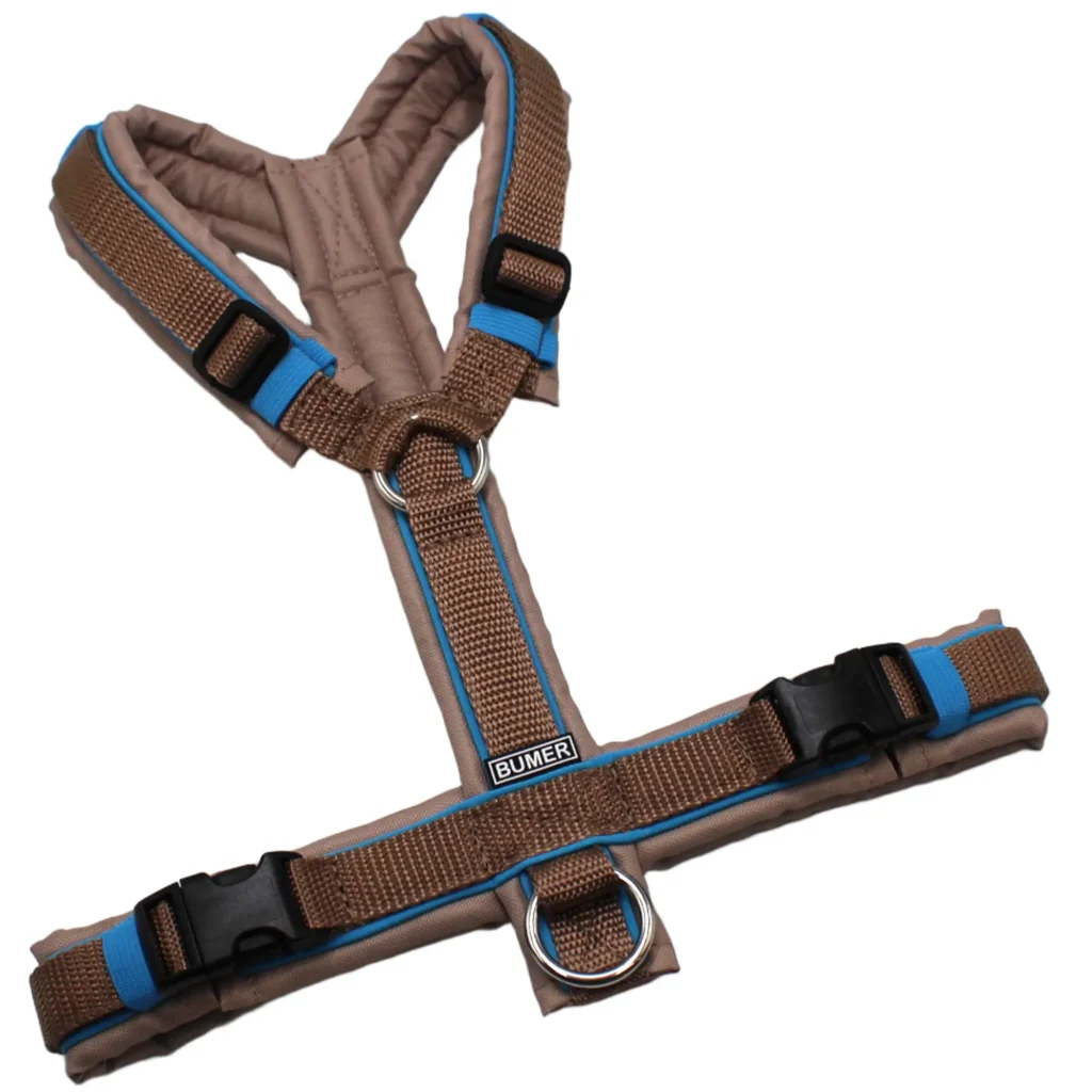 BUMER Hundegeschirr, OXFORD BR1155, Größe S/M, Gurtband PREMIUM X Hellbraun, Ringe silberfarbig (Edelstahl), Schnallen schwarz (DURAFLEX®), Paspel Himmelblau (komplett)