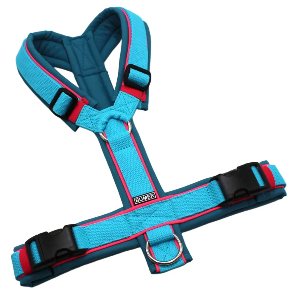 BUMER Hundegeschirr, Softshell Curacao Splash, Größe M, Gurtband PREMIUM X Glacier Breeze, Ringe silberfarbig (Edelstahl), Schnallen schwarz (DURAFLEX®), Paspel Neonpink (komplett)