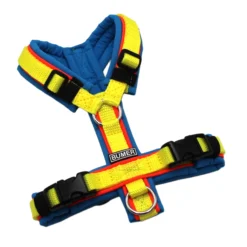 BUMER Hundegeschirr, Softshell Eisvogelblau, Größe XXS, Gurtband PREMIUM X Zitrinzauber, Ringe silberfarbig (Edelstahl), Schnallen schwarz (DURAFLEX®), Paspel Neonrot (komplett)