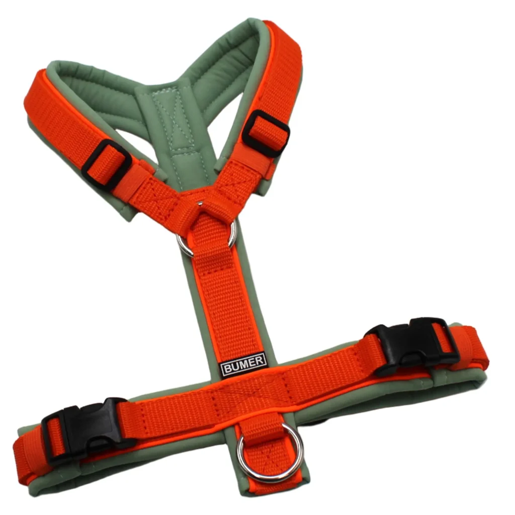 BUMER Hundegeschirr, Softshell Eukalyptus, Größe S, Gurtband PREMIUM X Orange, Ringe silberfarbig (Edelstahl), Schnallen schwarz (DURAFLEX®), Paspel Neonorange (komplett)