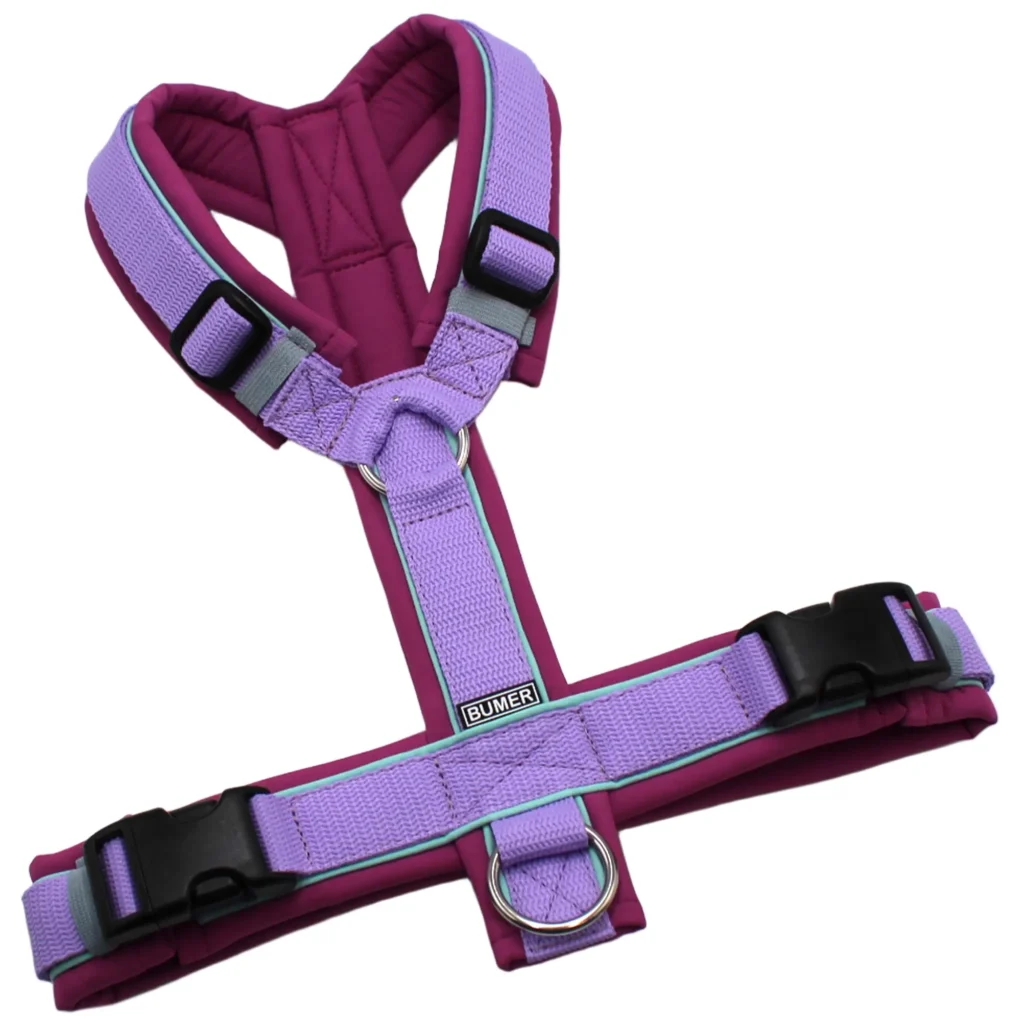 BUMER Hundegeschirr, Softshell Feigen Magenta, Größe M, Gurtband PREMIUM X Violett, Ringe silberfarbig (Edelstahl), Schnallen schwarz (DURAFLEX®), Paspel Jadenluft (komplett)