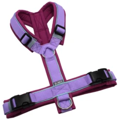 BUMER Hundegeschirr, Softshell Feigen Magenta, Größe M, Gurtband PREMIUM X Violett, Ringe silberfarbig (Edelstahl), Schnallen schwarz (DURAFLEX®), Paspel Jadenluft (komplett)