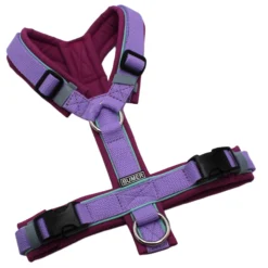 BUMER Hundegeschirr, Softshell Feigen Magenta, Größe XS/S, Gurtband PREMIUM X Violet Veil, Ringe silberfarbig (Edelstahl), Schnallen schwarz (DURAFLEX®), Paspel Jadenluft (komplett)