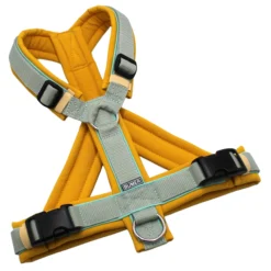 BUMER Hundegeschirr, Softshell Honignektar, Größe M, Gurtband Helles Salbei, Ringe silberfarbig (Edelstahl), Schnallen schwarz (DURAFLEX®), Paspel Minty Breeze (komplett)