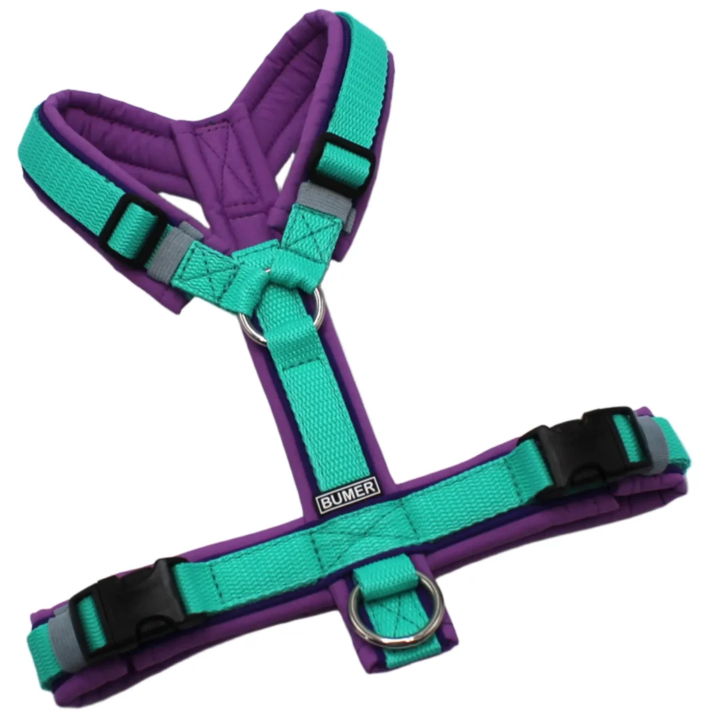 BUMER Hundegeschirr, Softshell Hortensien Lila, Größe S, Gurtband PREMIUM X Minze, Ringe goldfarbig, Schnallen schwarz (DURAFLEX®), Paspel Lila Viola (komplett)
