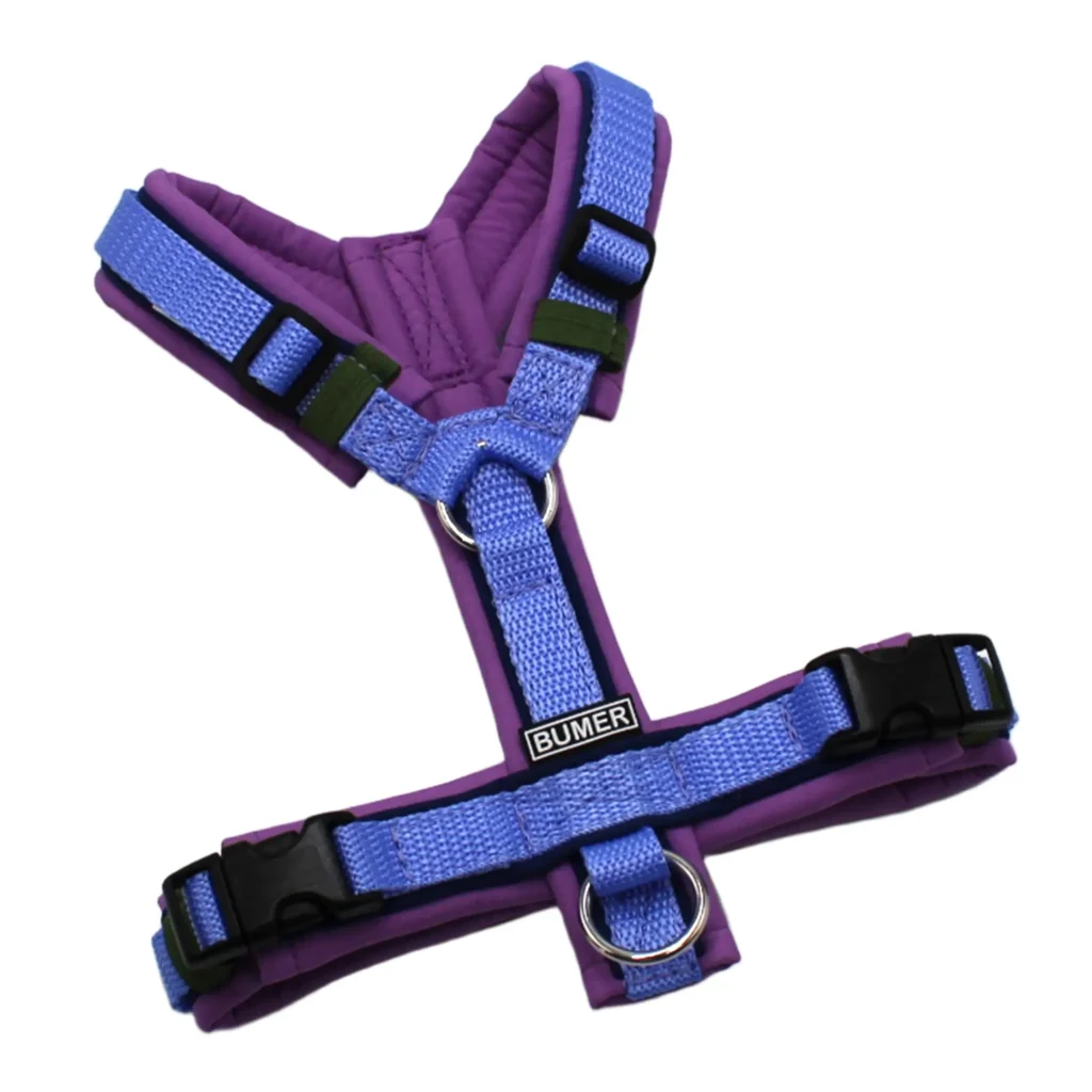 BUMER Hundegeschirr, Softshell Hortensien Lila, Größe XXS/XS, Gurtband PREMIUM X Light Blue, Ringe silberfarbig (Edelstahl), Schnallen schwarz (DURAFLEX®), Paspel Twilight Blau (komplett)